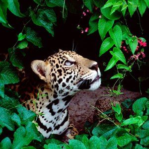 Meet your Posher, Pauline